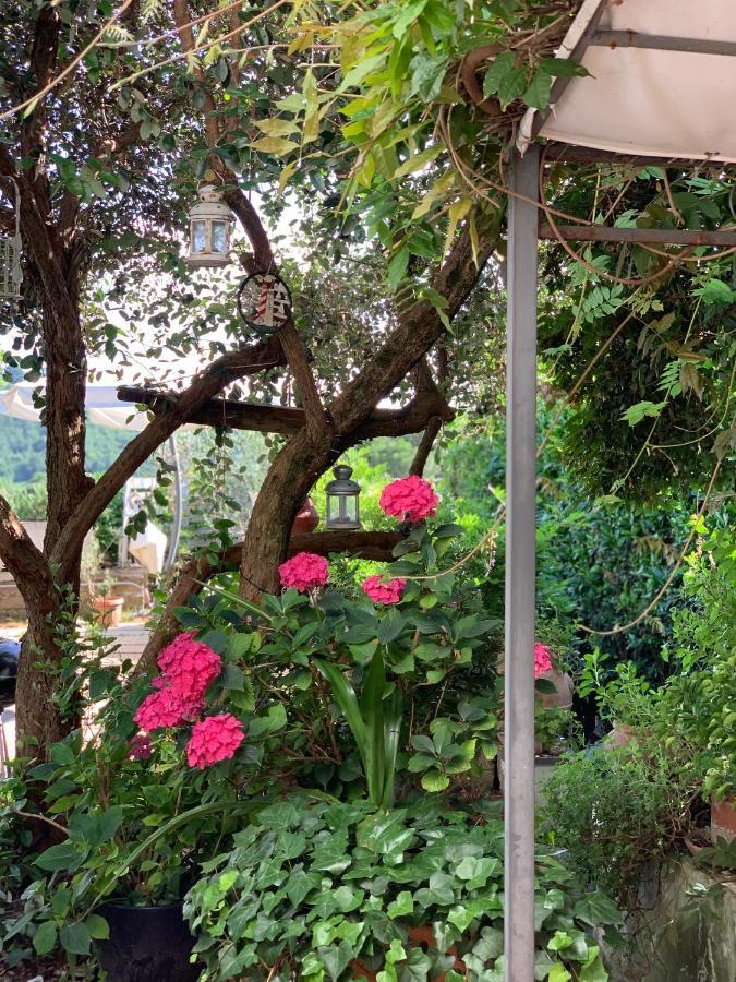 Il Cenacolo Di Sissi Lejlighed Campagnano Di Roma Eksteriør billede