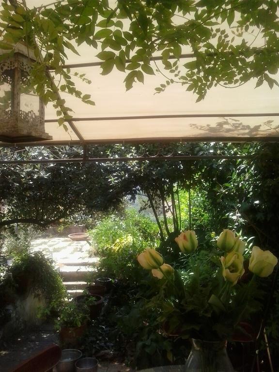 Il Cenacolo Di Sissi Lejlighed Campagnano Di Roma Eksteriør billede